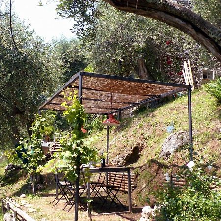 Il Giaggiolo Villa Камайоре Екстериор снимка