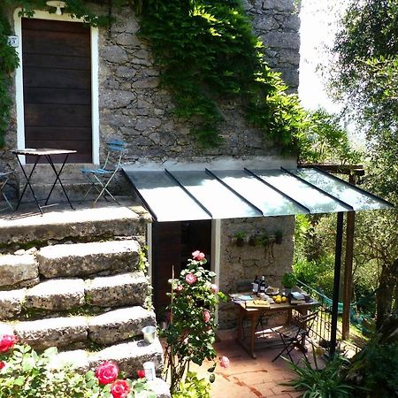 Il Giaggiolo Villa Камайоре Екстериор снимка