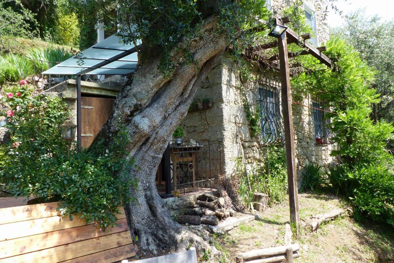 Il Giaggiolo Villa Камайоре Екстериор снимка