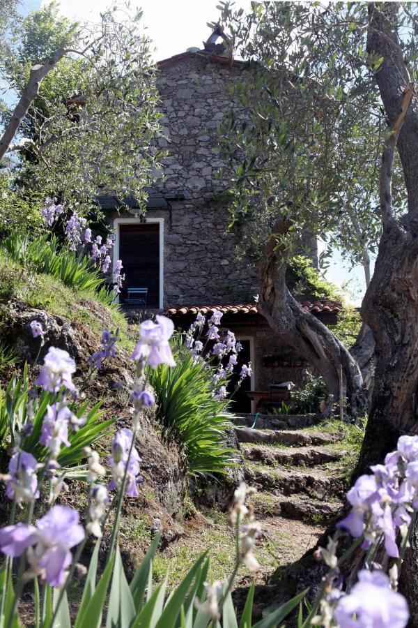Il Giaggiolo Villa Камайоре Екстериор снимка