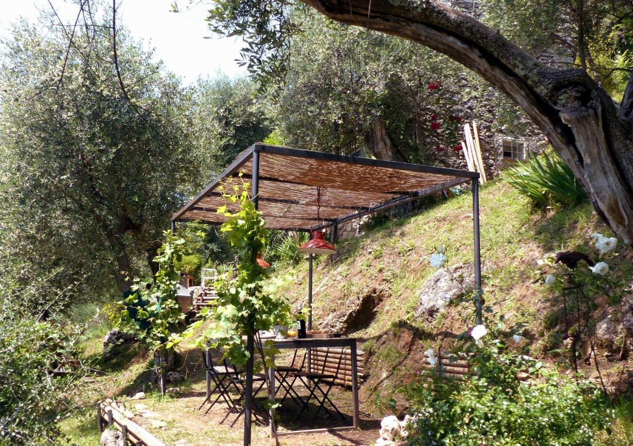 Il Giaggiolo Villa Камайоре Екстериор снимка