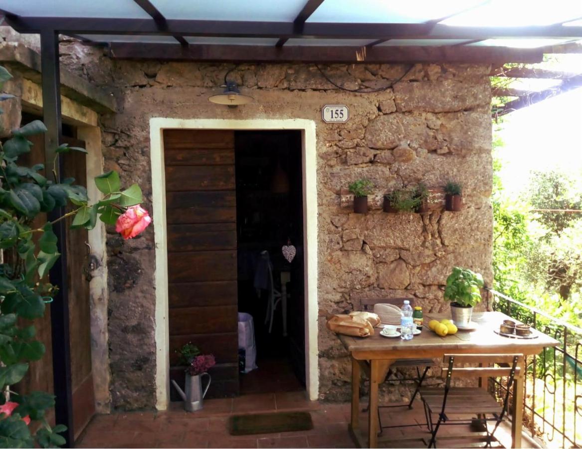 Il Giaggiolo Villa Камайоре Екстериор снимка